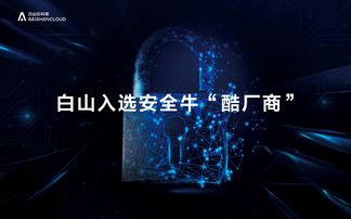 網絡安全行業全景圖發布,新晉 酷廠商 白山是誰